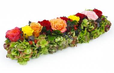 Image Chemin de roses colorées "Socrate" | L'Agitateur Floral