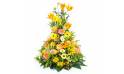 image du Coussin en hauteur jaune & orange "Apollon" | L'Agitateur Floral
