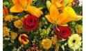 image de la Raquette de deuil orange & rouge "Hélios" | L'Agitateur Floral