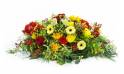 image de la Raquette fleurs colorées "Thucydide" | L'Agitateur Floral