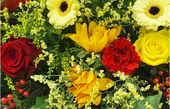 image de la Raquette fleurs colorées "Thucydide" | L'Agitateur Floral