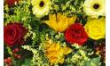 image de la Raquette fleurs colorées "Thucydide" | L'Agitateur Floral
