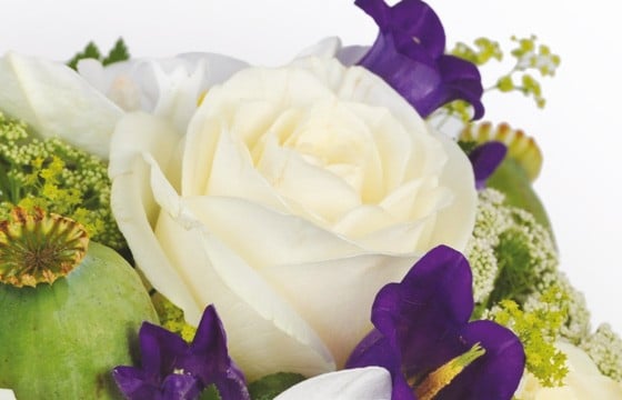 Panier de fleurs mauves et blanches | Livraison express 7/7 - 4 heures -  L'agitateur floral