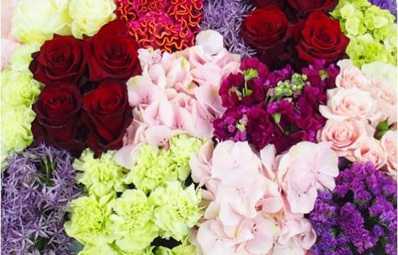 Image Coussin carré damier de fleurs piquées "Parthénon" | L'Agitateur Floral