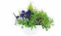 Image de la Composition de plantes mauve & bleue "Naturae" | L'Agitateur Floral