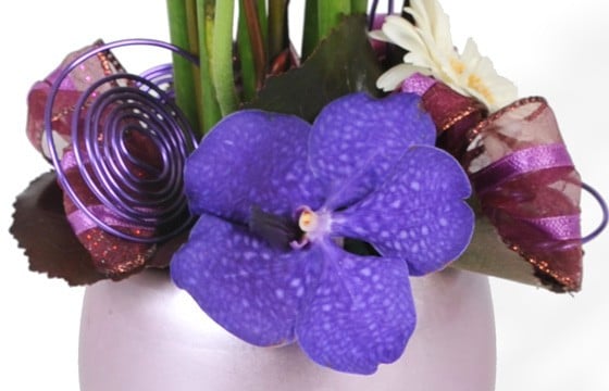 composition de fleurs Diva : zoom sur l'orchidée vanda mauve