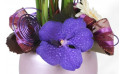 composition de fleurs Diva : zoom sur l'orchidée vanda mauve
