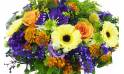Zoom image principale : Bouquet orange, jaune & violet "Amsterdam"| L'Agitateur Floral