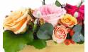 Zoom image Composition allongée de rose "Sao Polo"| L'Agitateur Floral