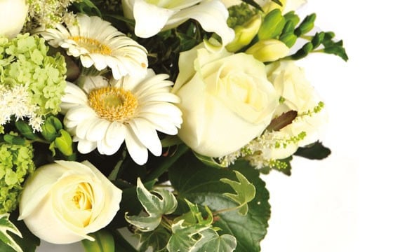 zoom sur des germinis et roses blanches de la composition florale