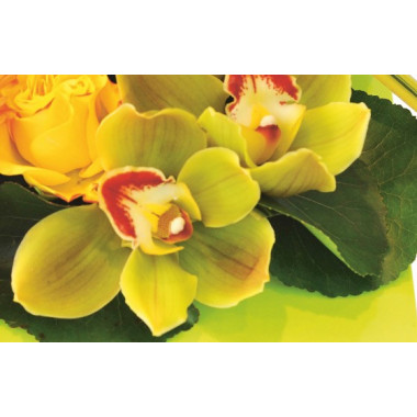 Image de l'orchidée dans les tons vert de la composition de fleurs