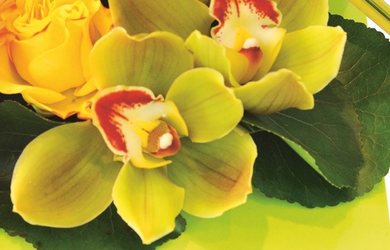 Image de l'orchidée dans les tons vert de la composition de fleurs