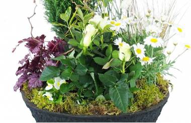 Zoom image de la Coupe de deuil de plantes blanches "Nubes" | L'Agitateur Floral