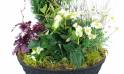 Zoom image de la Coupe de deuil de plantes blanches "Nubes" | L'Agitateur Floral