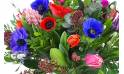 Zoom image principale : Bouquet de saison coloré "Fleurettes"| L'Agitateur Floral