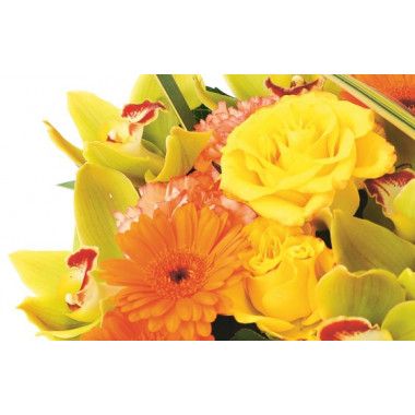 image des roses jaune et gerberas orange