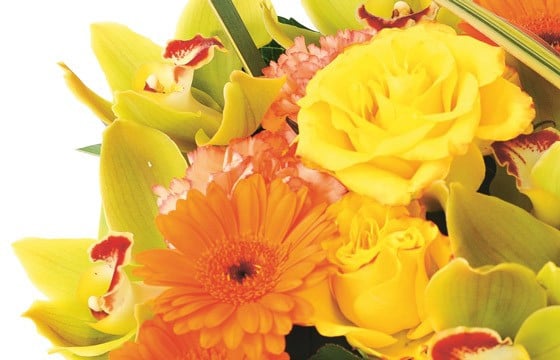 image des roses jaune et gerberas orange