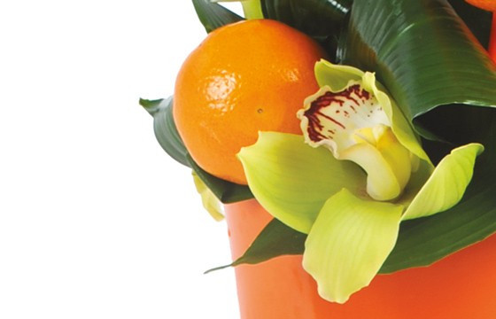 L'Agitateur Floral | vue sur une orange et un fleuron d'orchidée de la composition de fleurs exotique