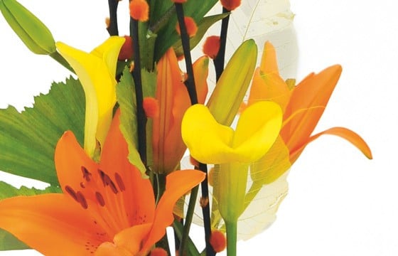 zoom sur des callas jaunes et des lys oranges