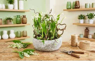 Mise en situation de la Composition de griffes de Muguet "Esprit Forêt" | L'Agitateur Floral