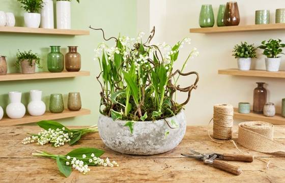 Mise en situation de la Composition de griffes de Muguet "Esprit Forêt" | L'Agitateur Floral