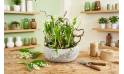 Mise en situation de la Composition de griffes de Muguet "Esprit Forêt" | L'Agitateur Floral
