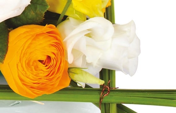 zoom sur un renoncule orange et lysianthus blanc