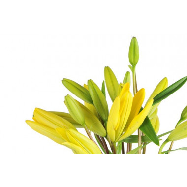 Image des Lys jaune de la composition de fleurs
