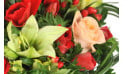 vue sur un fleuron de lys et rose rose pâle de la composition