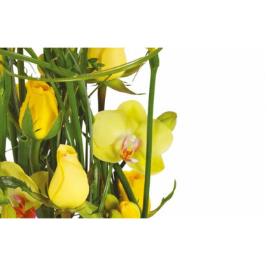 vue sur des roses jaunes et des fleurons d'orchidées