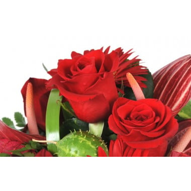 image de roses rouges de la composition florale Flamboyant