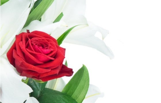 L'Agitateur Floral | zoom sur une rose du Bouquet de fleurs Mystère de Roses