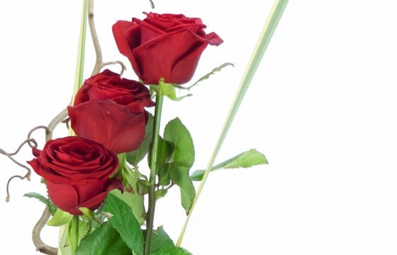 L'Agitateur Floral | zoom sur trois roses rouge du bouquet de roses