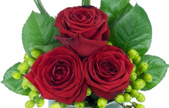 L'Agitateur Floral | image des trois roses rouges de la composition florale
