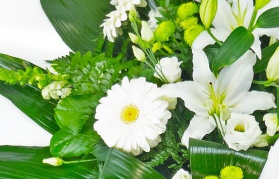L'Agitateur Floral | vue sur les gerberas de la gerbe d'enterrement