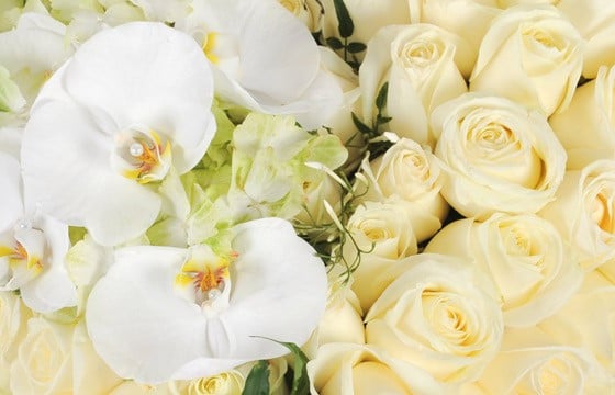zoom sur le centre du coeur en fleurs sur les roses blanches et orchidées