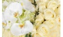 zoom sur le centre du coeur en fleurs sur les roses blanches et orchidées