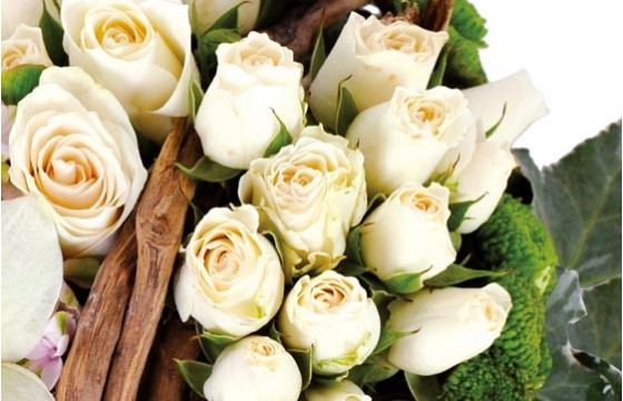 zoom sur des roses blanches du coeur en fleurs Douceur