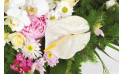 zoom sur un magnifique anthurium blanc du coeur Archange