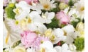 zoom sur les orchidées blanches et les pivoines roses