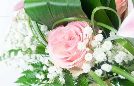 L'Agitateur Floral | vue sur une magnifique rose rose et du gypsophile