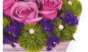 vue sur une roses fuchsia et les décoration de la composition de roses victoria