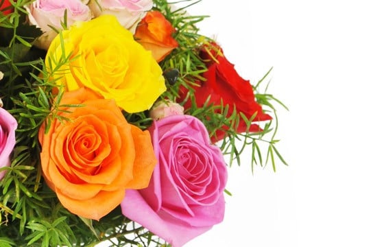 zoom sur trois roses gros boutons jaune, orange, rose