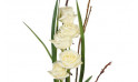 vue sur cinq roses blanches du bouquet de roses colombe