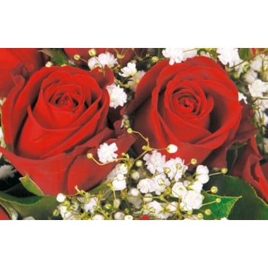 L'Agitateur Floral | zoom sur des roses rouges du bouquet Milan