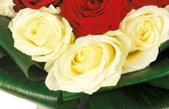 zoom sur les roses blanches du bouquet de roses