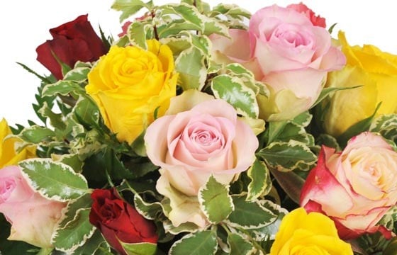 zoom sur des roses roses et roses jaunes