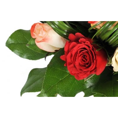 zoom sur une rose rouge du bouquet Joie