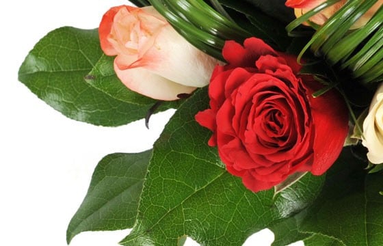 zoom sur une rose rouge du bouquet Joie