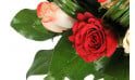 zoom sur une rose rouge du bouquet Joie
